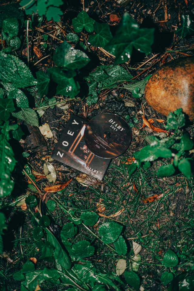 DIARY EP - CD (Konzertverkauf)