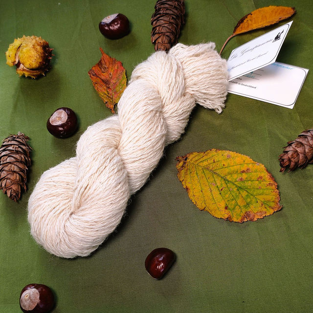 Weißköpfiges Fleischschaf