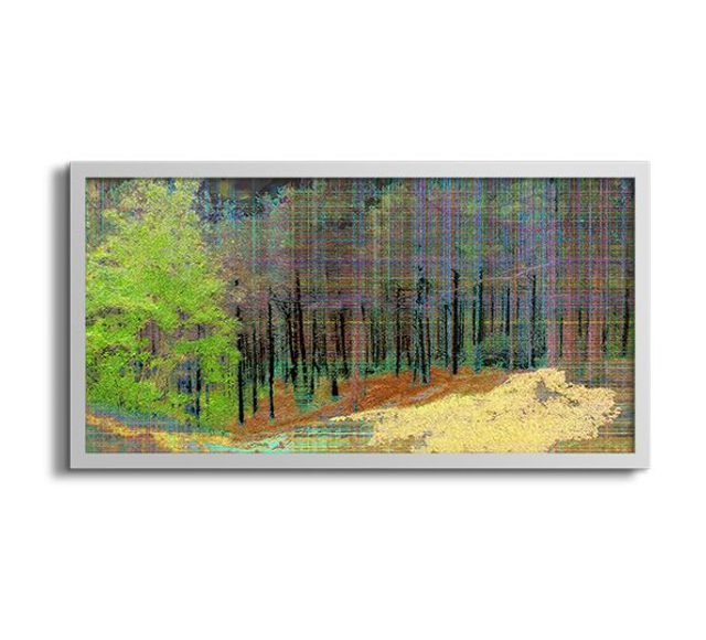 02 Nature - In The Comfort Of Forestdunes, 2022.