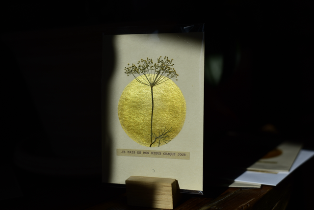 carte postale • je fais de mon mieux chaque jour