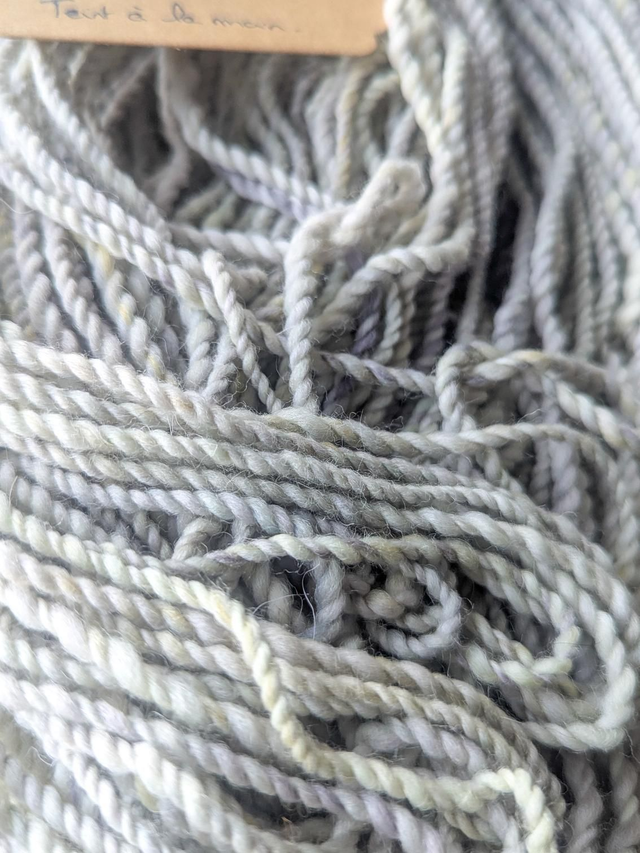 Mérinos d'Arles / brume