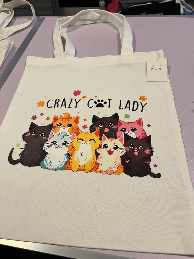 Crazy Cat Lady