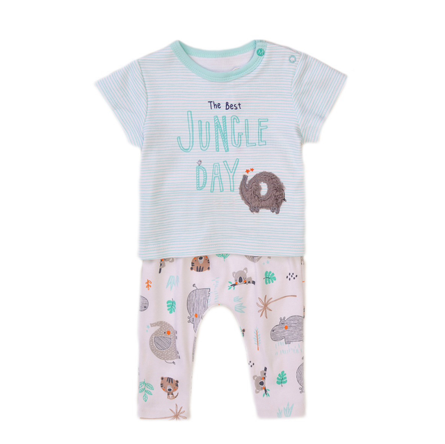 Ensemble éléphant naissance 