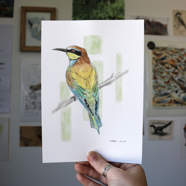 "Détendu" - Etude originale