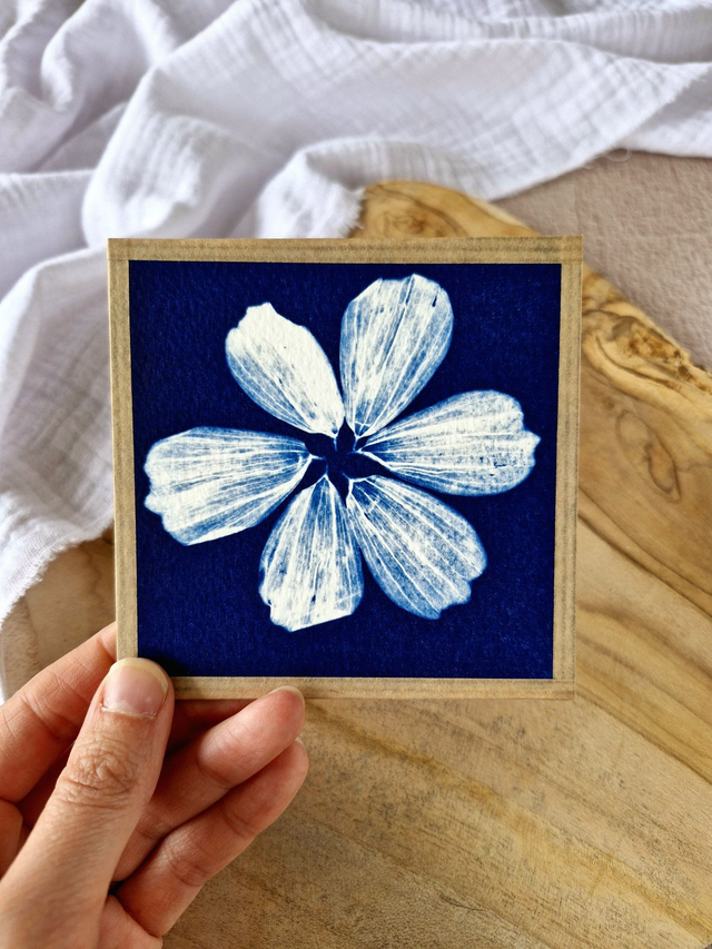 💙 Mini CyanÔ - Les mignonneries - Cosmos pétales