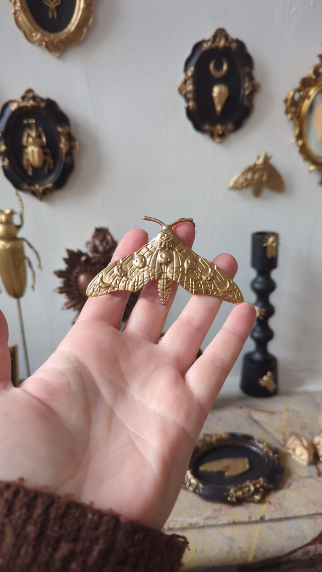 Décoration murale papillon de nuit 