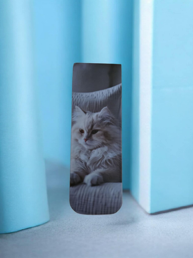 Marque page magnétique portrait de chat.E
