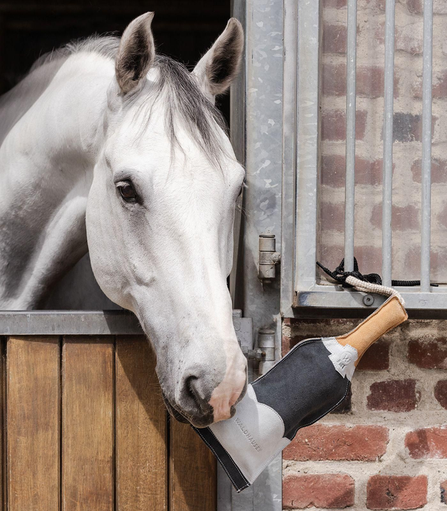 Waldhausen Stable Toy Champagne Bottle