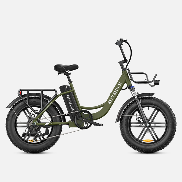 Engwe L20 Electric Bike - Green
