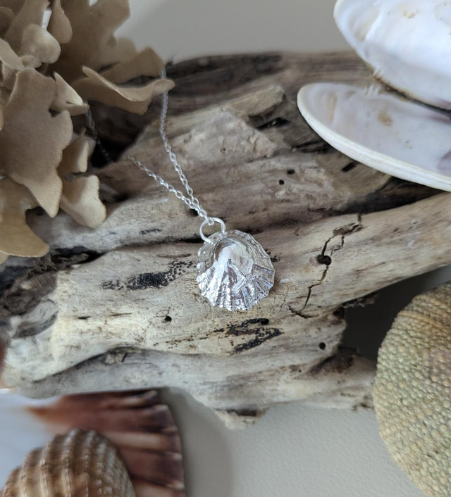 Limpet shell necklace 