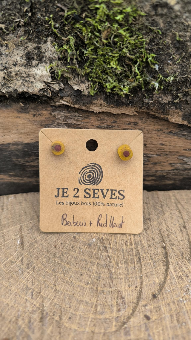 Berberis + Noyer - 250023