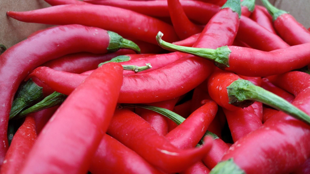 Pimiento Chile Rojo