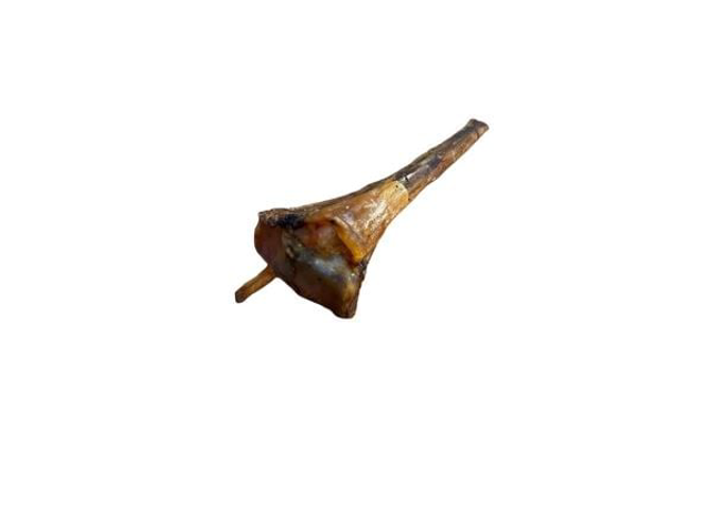 Ostrich Metatarsus