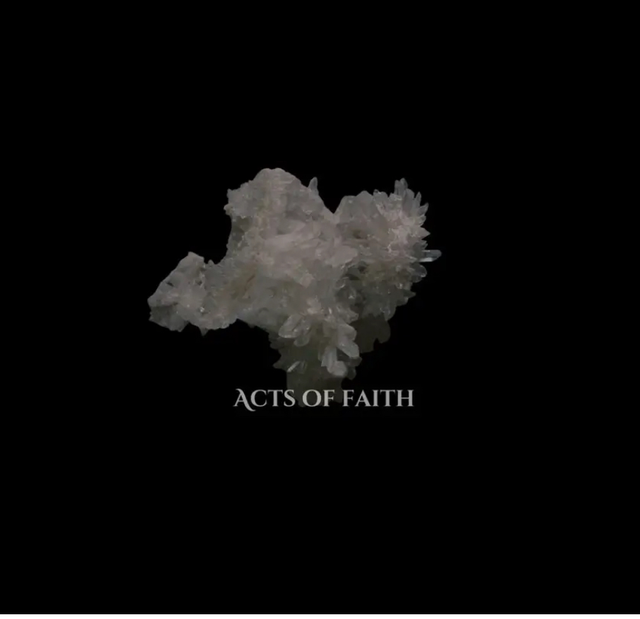 Sault- Acts of Faith