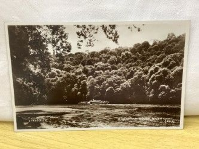 Sharpham Woods, River Dart, Devon, Vintage Valentine's Postcard. Our Ref No. R304 £2.00