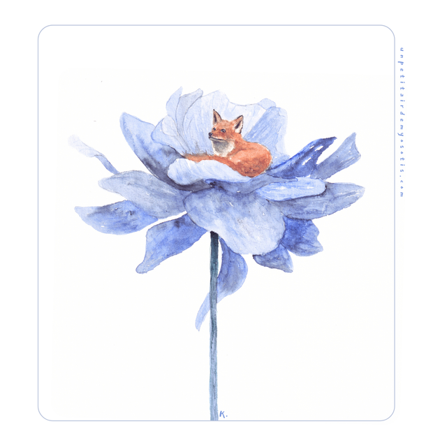 Cadre - Renard blotti dans une pivoine