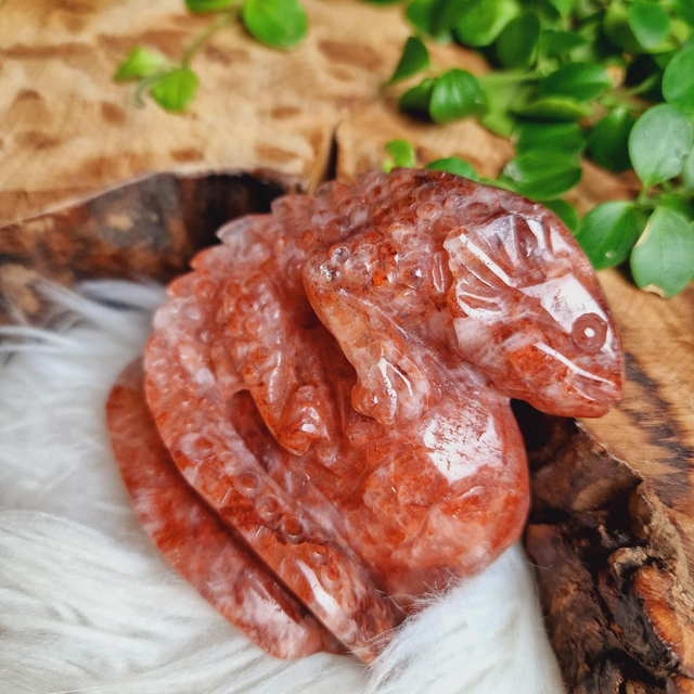 Fire Quartz Lizard 312g