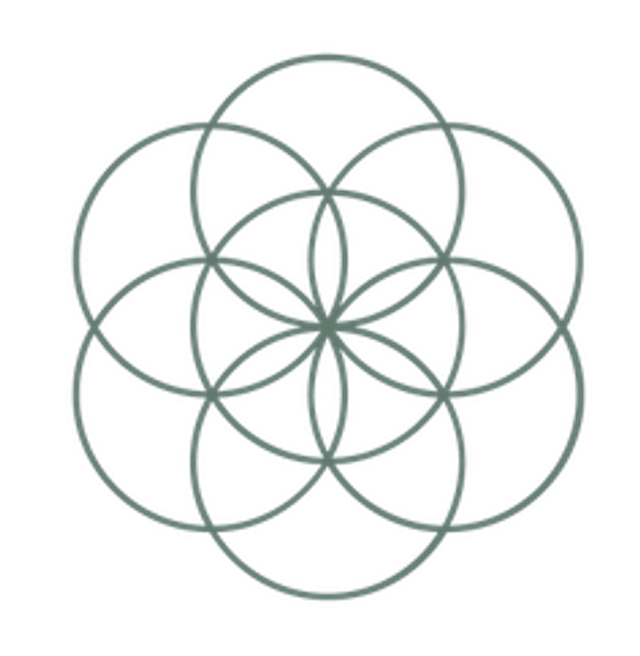 Paediatric Treatment (children and young adults 6-16)