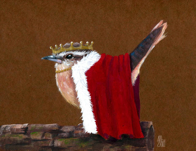 FineArt-Print - Zaunkönig