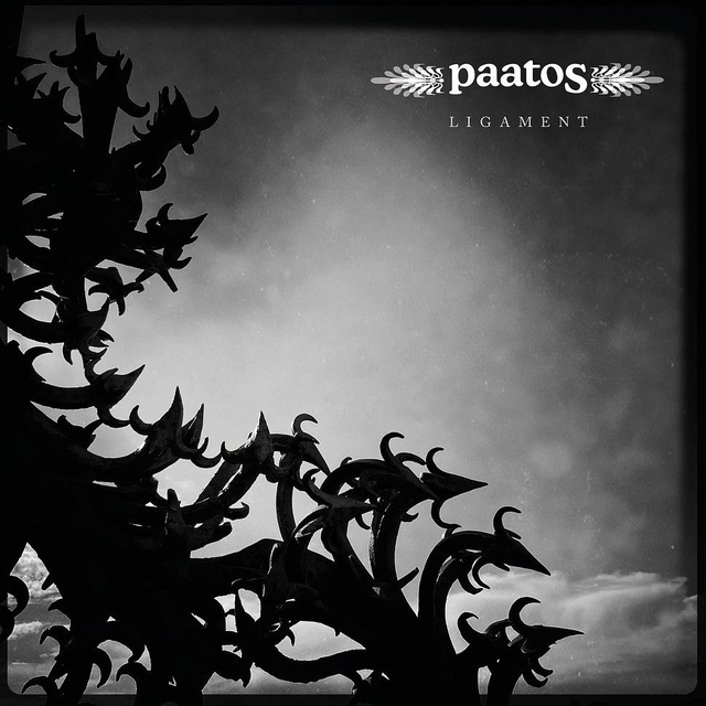 Paatos - Ligament