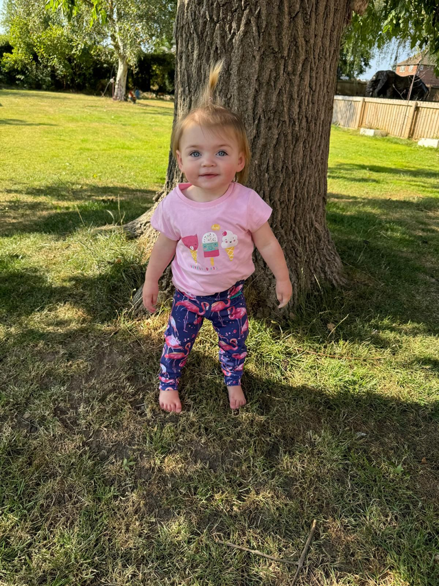 Leggings - Flamingoes