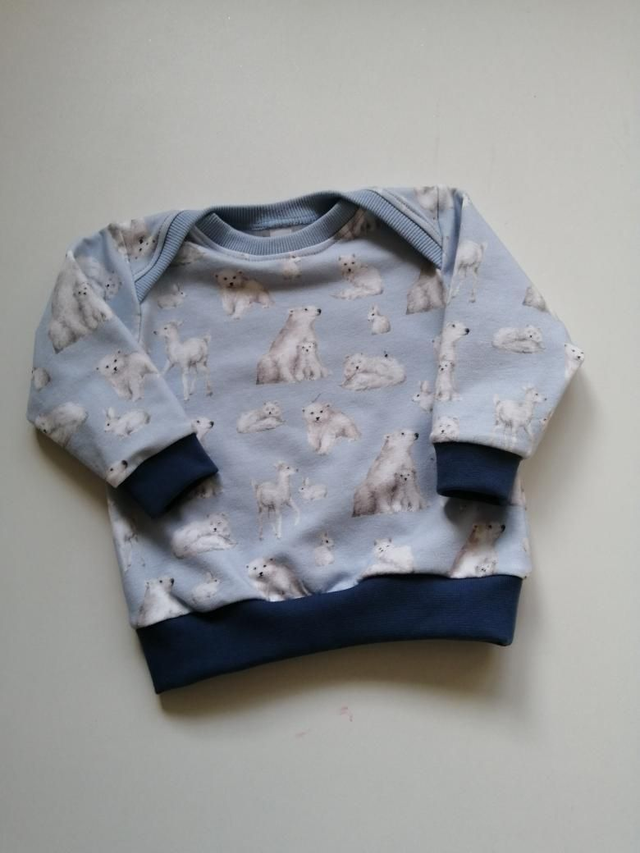 Xmas junper - 06-09 mth (8 kg). Arctic animals