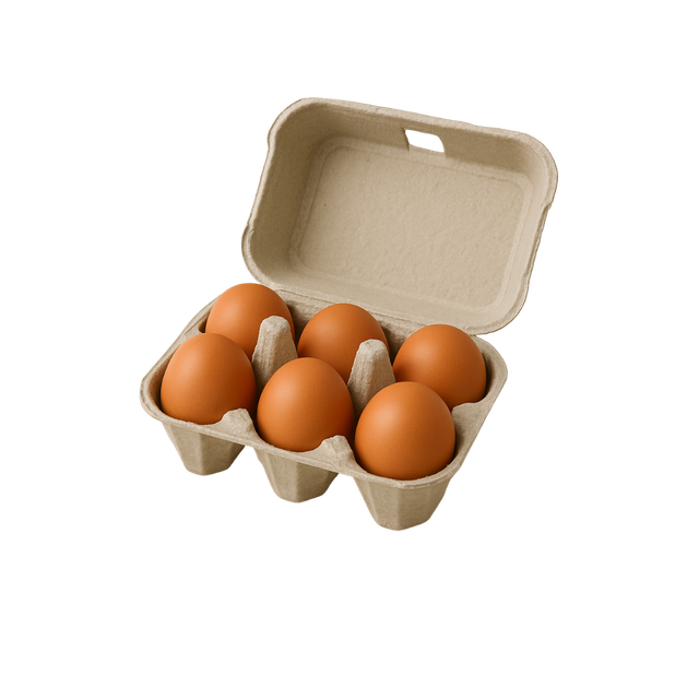 Oeufs de poule 🧺