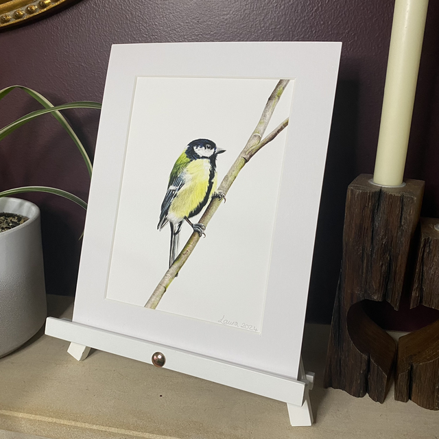 Great Tit Fine Art Print 