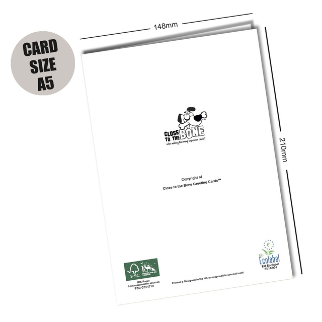 #168e Sprocker Spaniel Dog Card