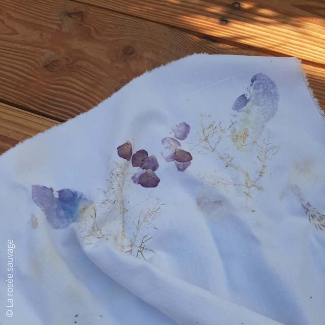 Atelier TATAKI-ZOMÉ