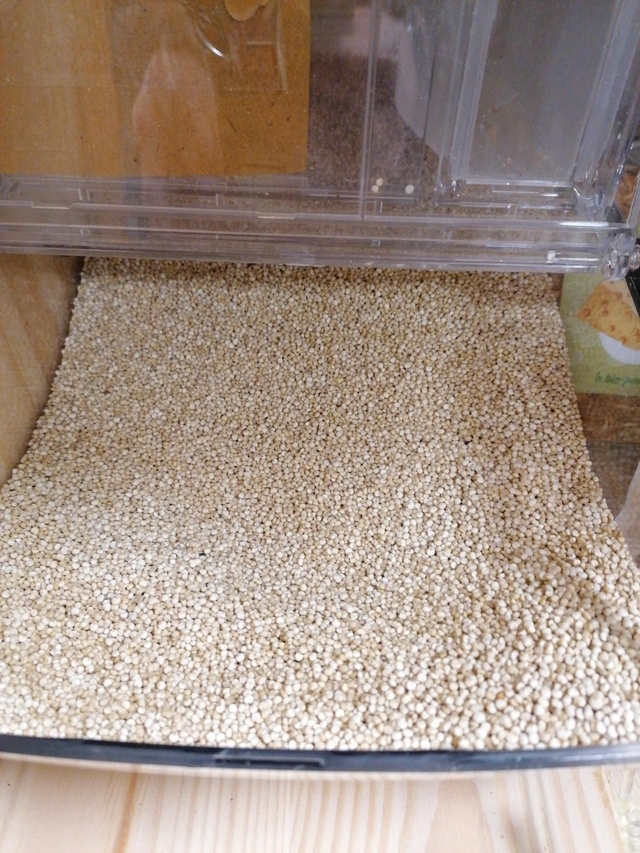 Quinoa. Prix Pour 100g 