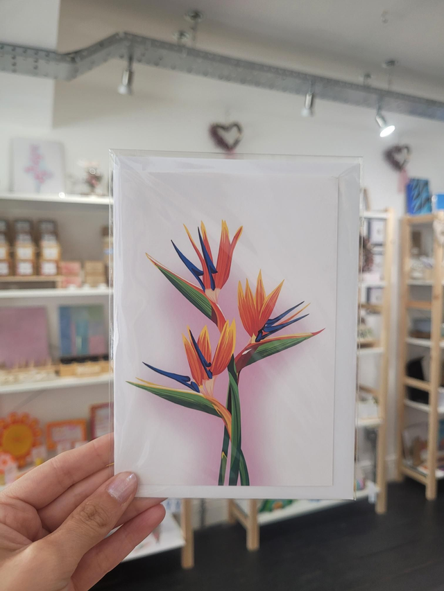 Birds Of Paradise Greetings Card - NW-004