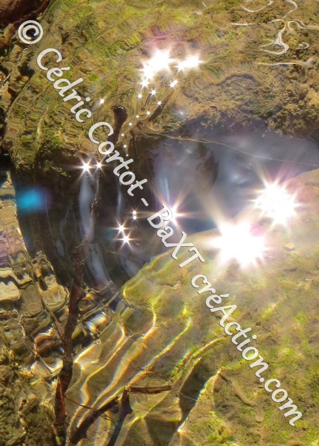 Carte postale - Reflets et cours d'Eau (Ref IMG_6000)