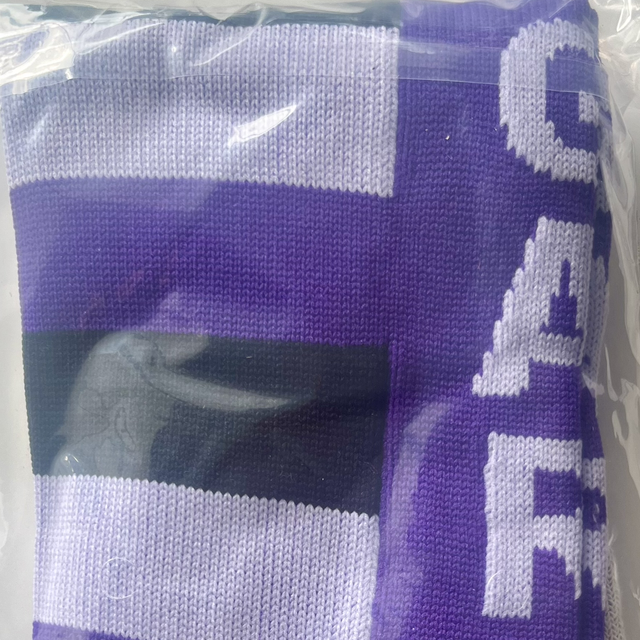 GARFC Socks L ( shoe size 8- 13)