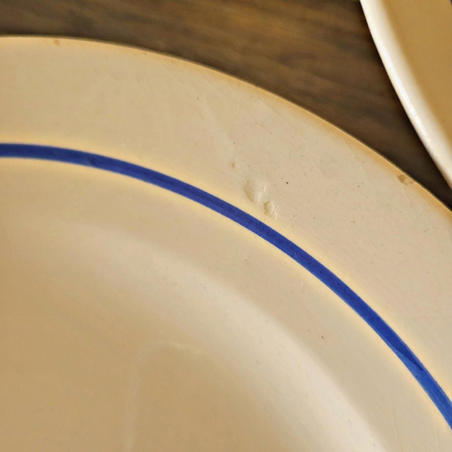 X Assiettes plates vintage faïence ADP, motifs de roses couleur bleu