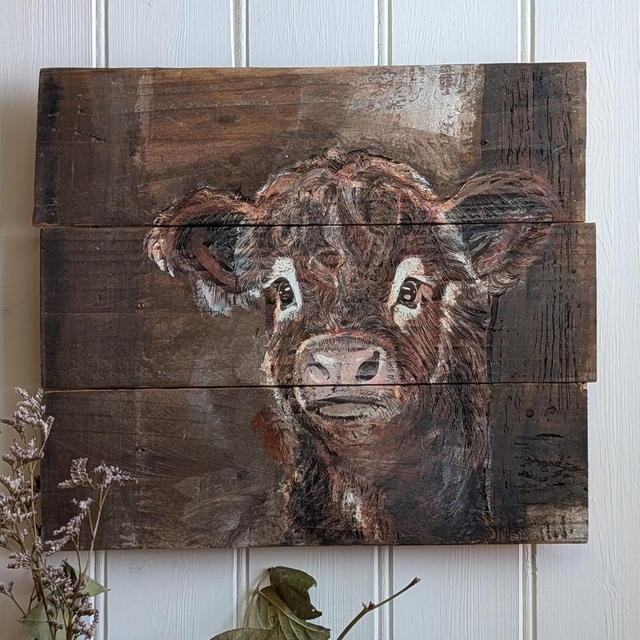 Highland calf cow, peeking - Handcrafted reclaimed wood works