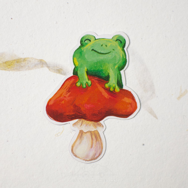 Żaba na grzybku | ZWIERZĘTA
