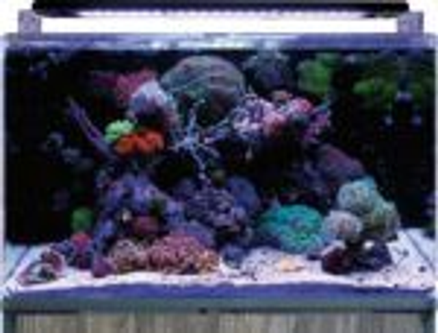 BM REEF 160 AQUARIUM 8715897350337