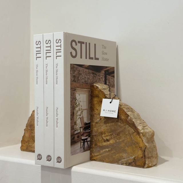Petrified Wood Book End Set | 2