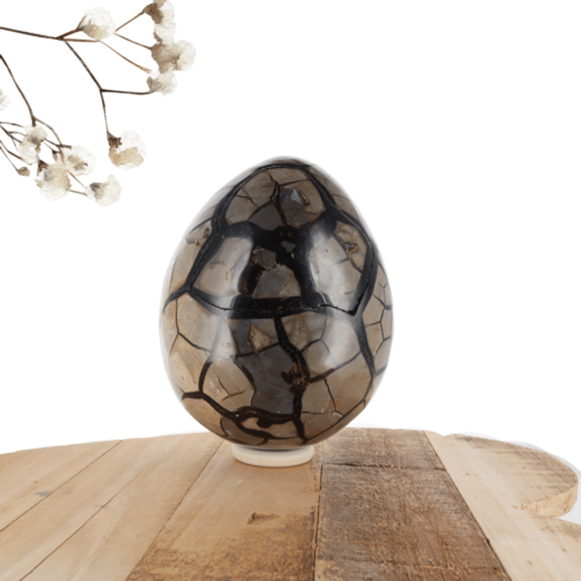 Oeuf Septaria 5,670kg