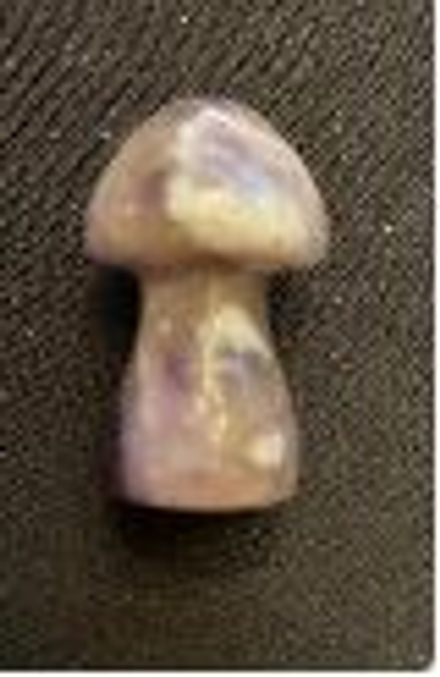 Champignon en Améthyste chevron