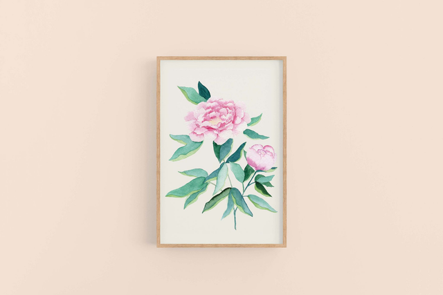 Illustration Print - Pivoines
