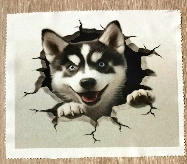 Chiffon lunettes / écran husky 15x18cm 