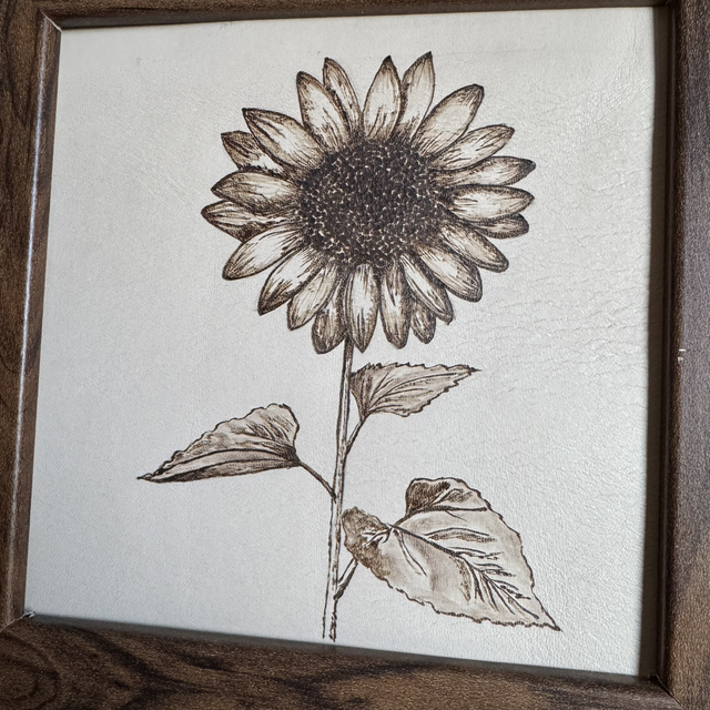 Sunflower workshop 16th April 6.30-8.30