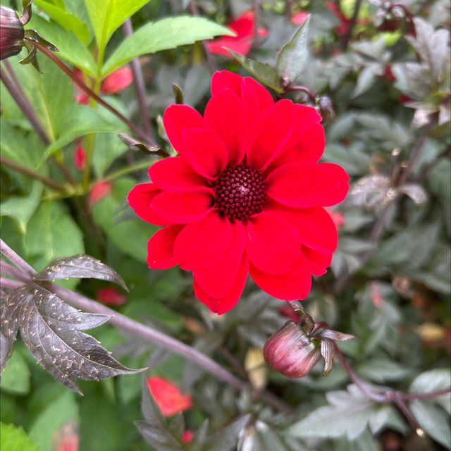 Bishop of Llandoff 150