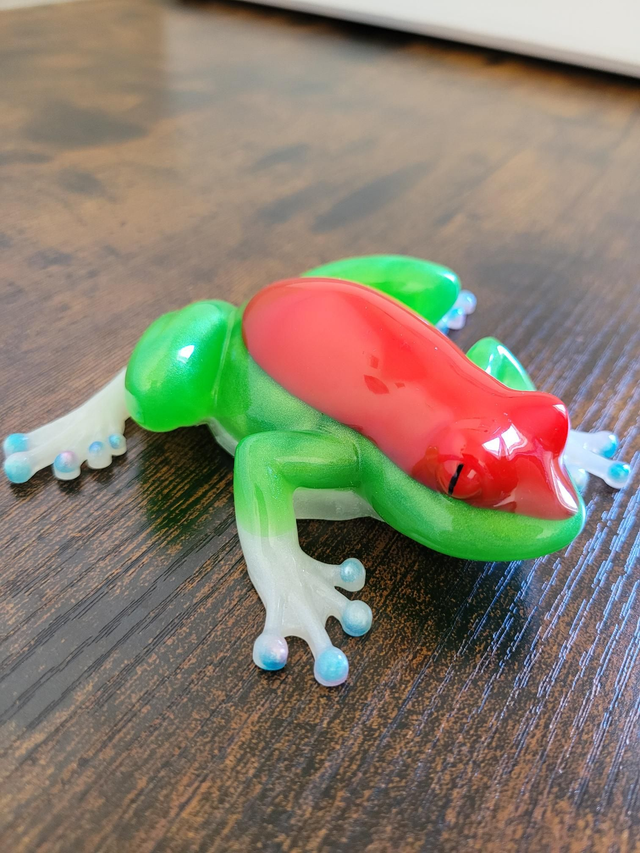 Grenouille tricolore 