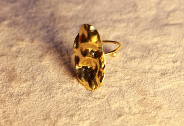 Anello Titanio 6