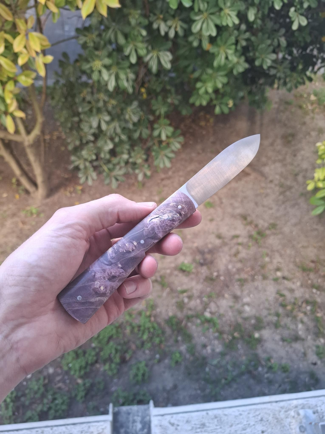 Taurus - Loupe d’érable stabilisé violet