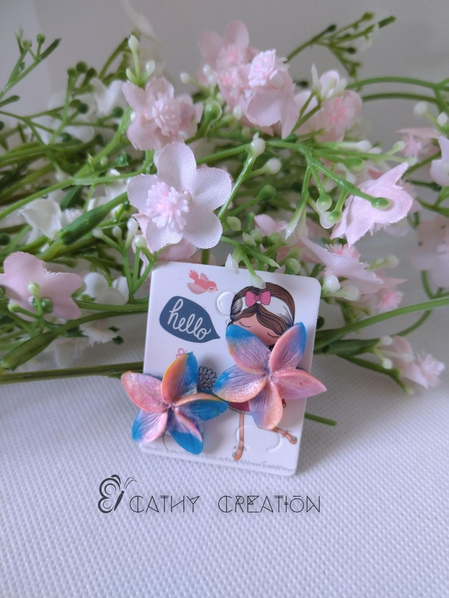 Clous d'oreilles rose et bleu 