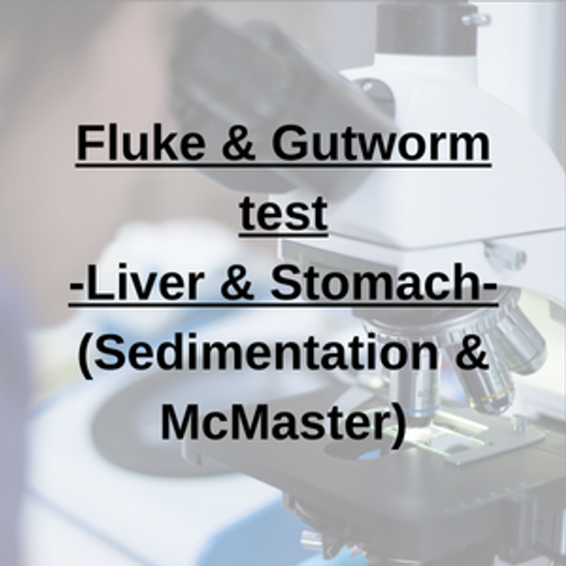 Fluke &amp; Gutworm test (Liver &amp; Stomach Fluke + Gutworm)